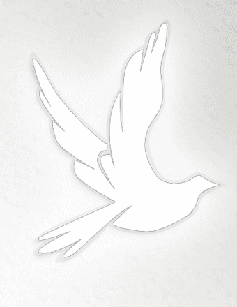 Bernard J. Faraldo Obituary
